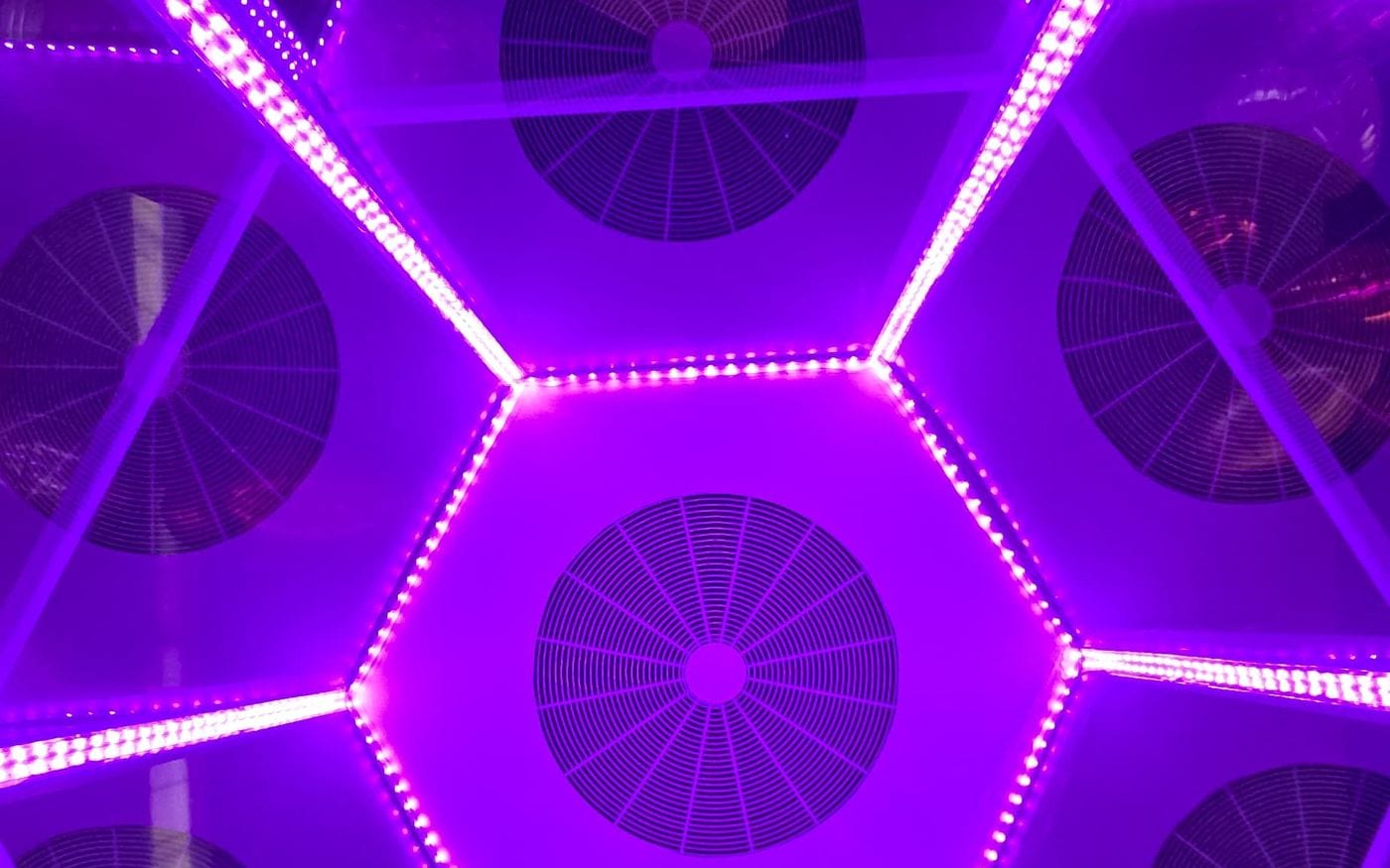 El techo hexagonal de la cabina de viento visto desde dentro, con las tiras LED encendidas en violeta